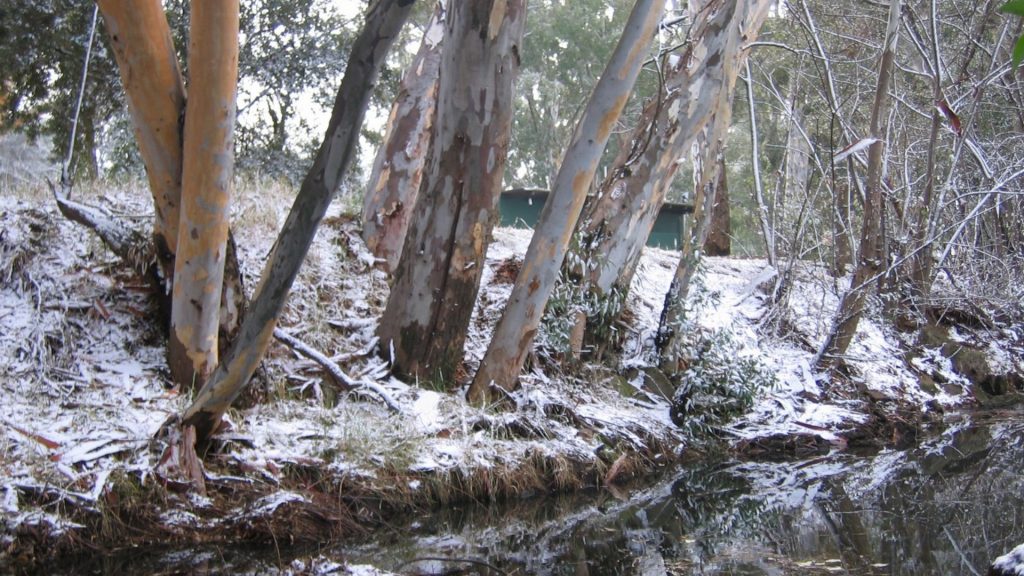 Zoom meeting background